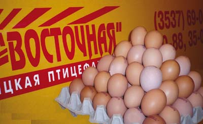 Купить Яйцо Оптом Рф